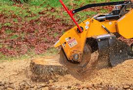 Reliable Amelia, OH Tree Services Solutions