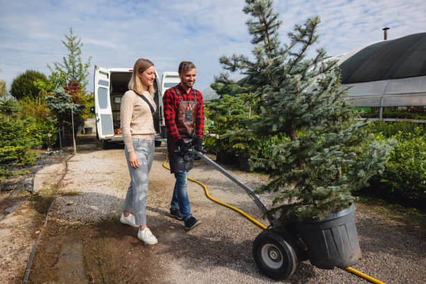Best Tree Mulching  in Amelia, OH